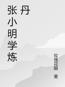 张小明风水师