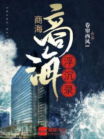 商海浮沉录攻略