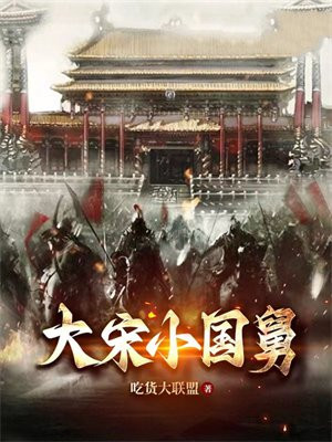 大宋小郎君1-100集大结局