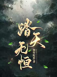 踏天无痕这本书怎么样