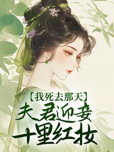 我死去那天夫君迎妾十里红妆