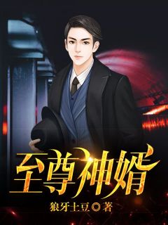 至尊神婿叶昊郑漫儿免费完整版